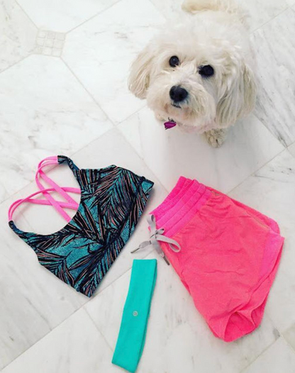 Lululemon Energy Bra Mini Palm Lace Tofino Teal Multi/Flash Light Size 6